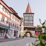 Holzerhof-ferienwohnungen 겐넨바흐