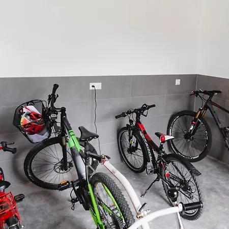 Holzerhof-ferienwohnungen Apartamento