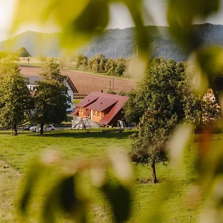 Holzerhof-ferienwohnungen Apartamento *