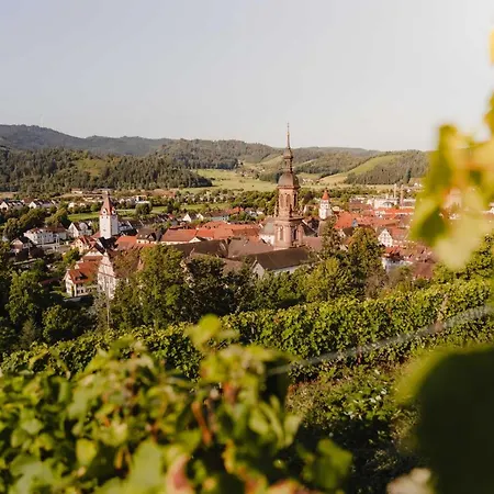 Holzerhof-ferienwohnungen