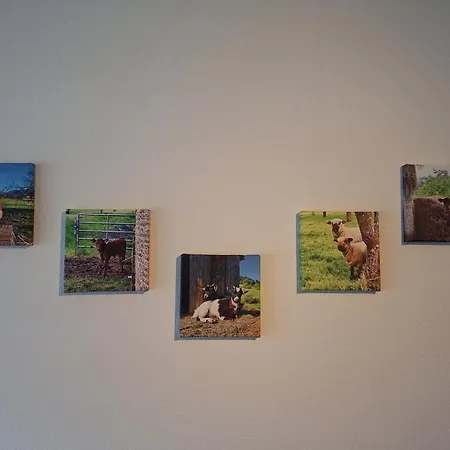 Holzerhof-ferienwohnungen