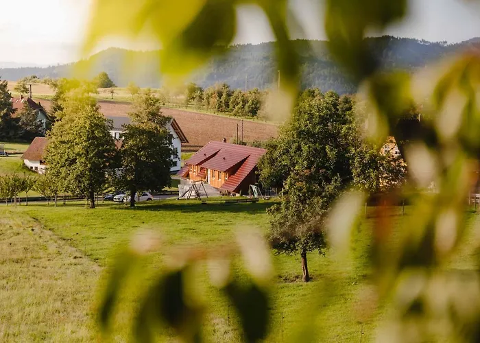 Holzerhof-ferienwohnungen Appartement *