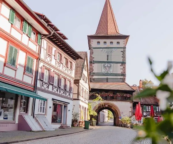 Holzerhof-ferienwohnungen Gengenbach