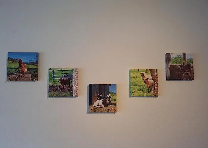 Holzerhof-ferienwohnungen Appartement